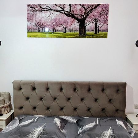 White Studio Moldvahosszúmező Kültér fotó