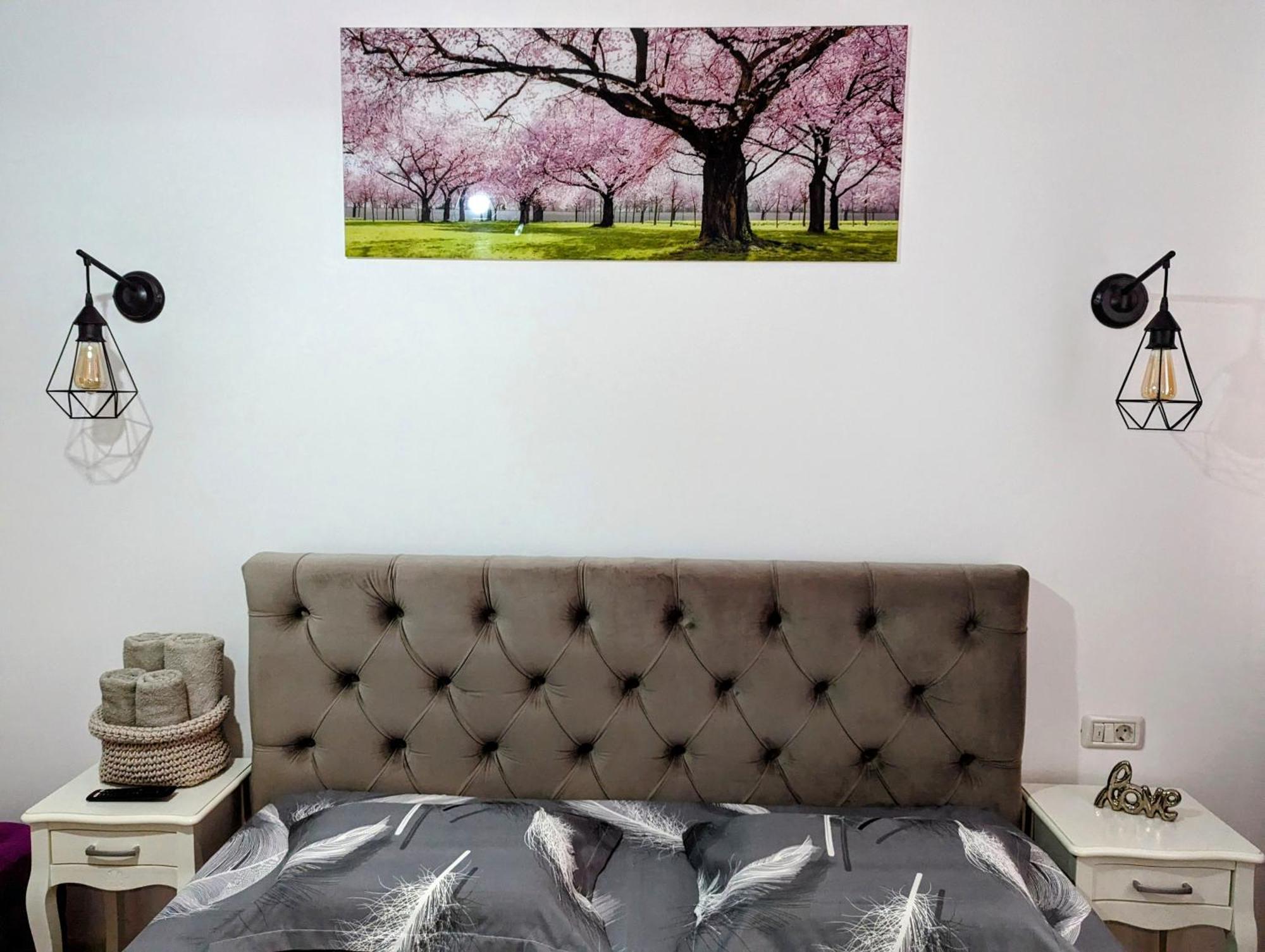White Studio Moldvahosszúmező Kültér fotó